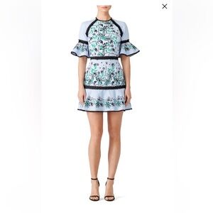 AMUR Embroidered Logan Dress Sz 6